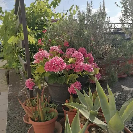 Apartman Rosemary