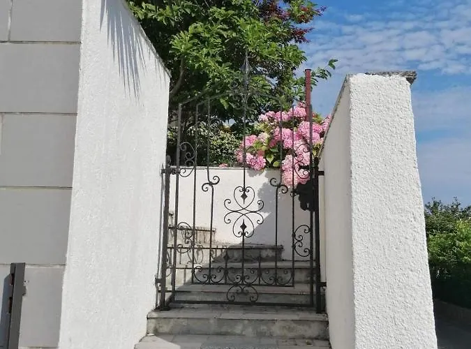 Rosemary * イゾラ